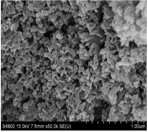 Preparation method of graphite oxide phase carbon nitride modified electrode and application of electrode in detection of heavy metal ions
