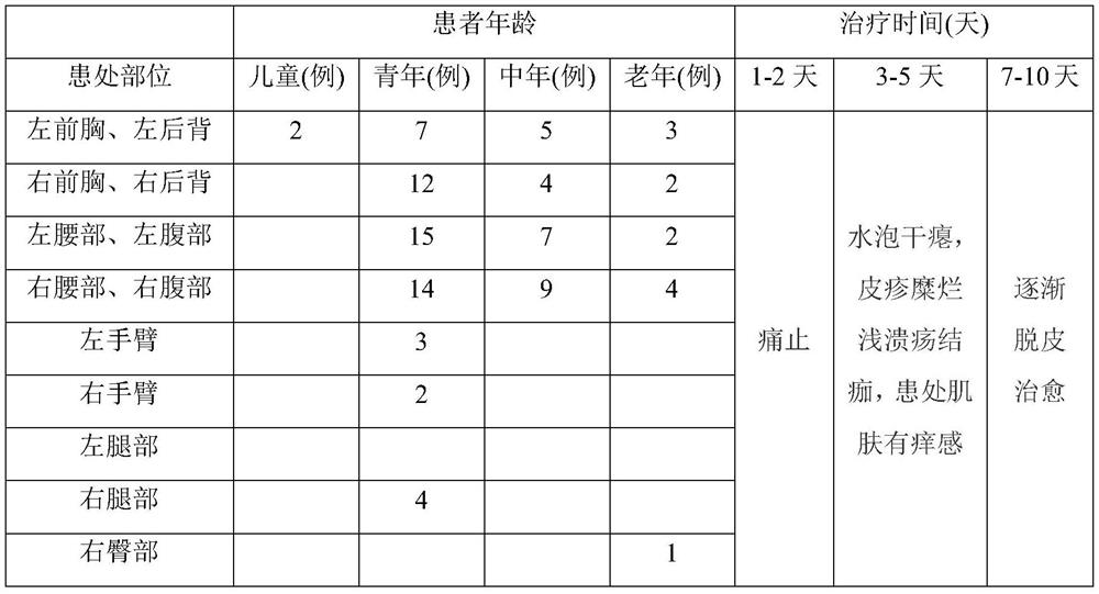 Traditional Chinese medicine composition for treating herpes zoster and preparation method thereof
