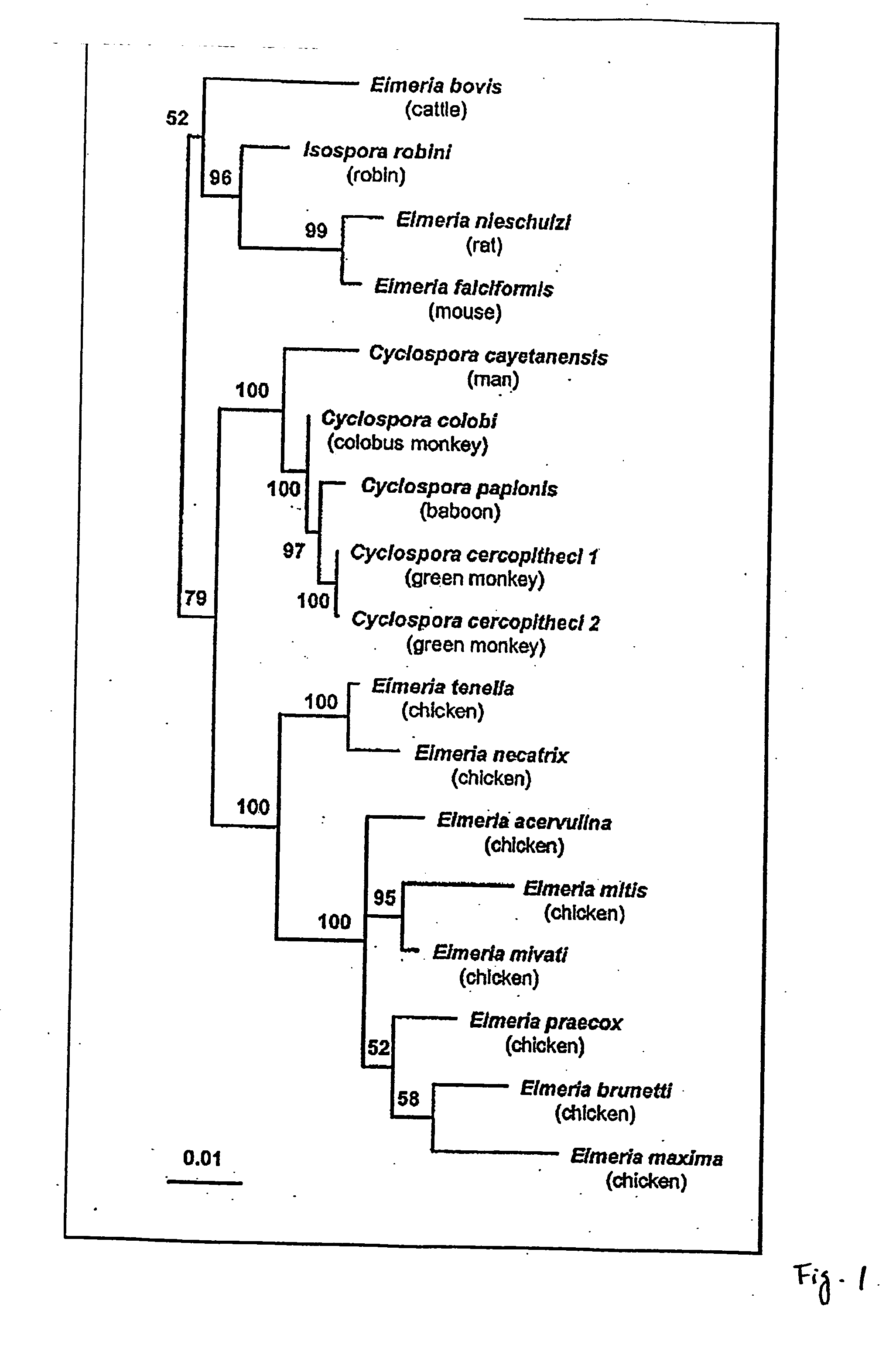 Compositions and methods for immunotherapy of human immunodeficiency virus (HIV)