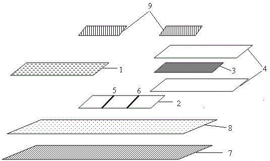 Alicyclobacillus colloidal gold label test strip and preparation method thereof