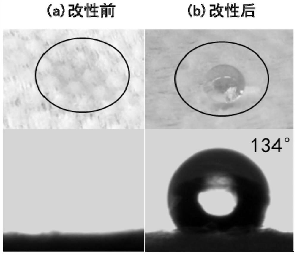 Hydrophobic cellulose non-woven fabric for medical health and preparation method thereof