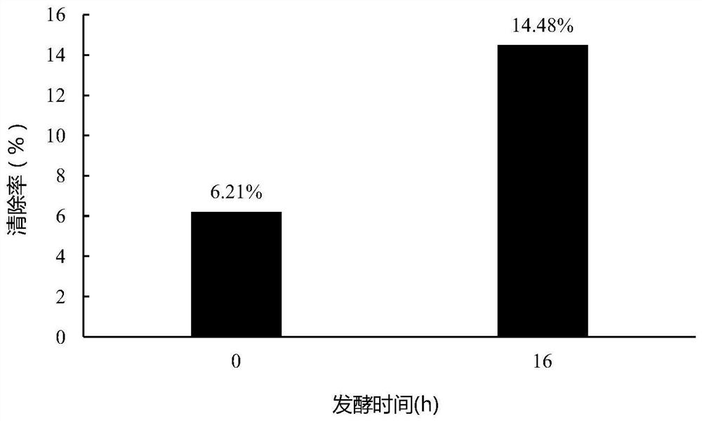 A method for improving the antioxidant capacity of dendrobium polysaccharides