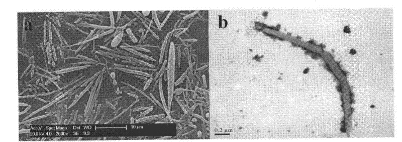 Non-spherical drug-loaded particles and controlled release preparation of lactyl polymer and preparation methods thereof