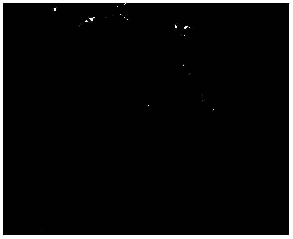 Abamectin b against root-knot nematode  <sub>2</sub> Microcapsule suspension and preparation method thereof