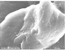 Method for absorbing uranium with uranium template ion imprinted ploy(N-isopropyl acrylamide)/chitosan interpenetrating polymer network hydrogel