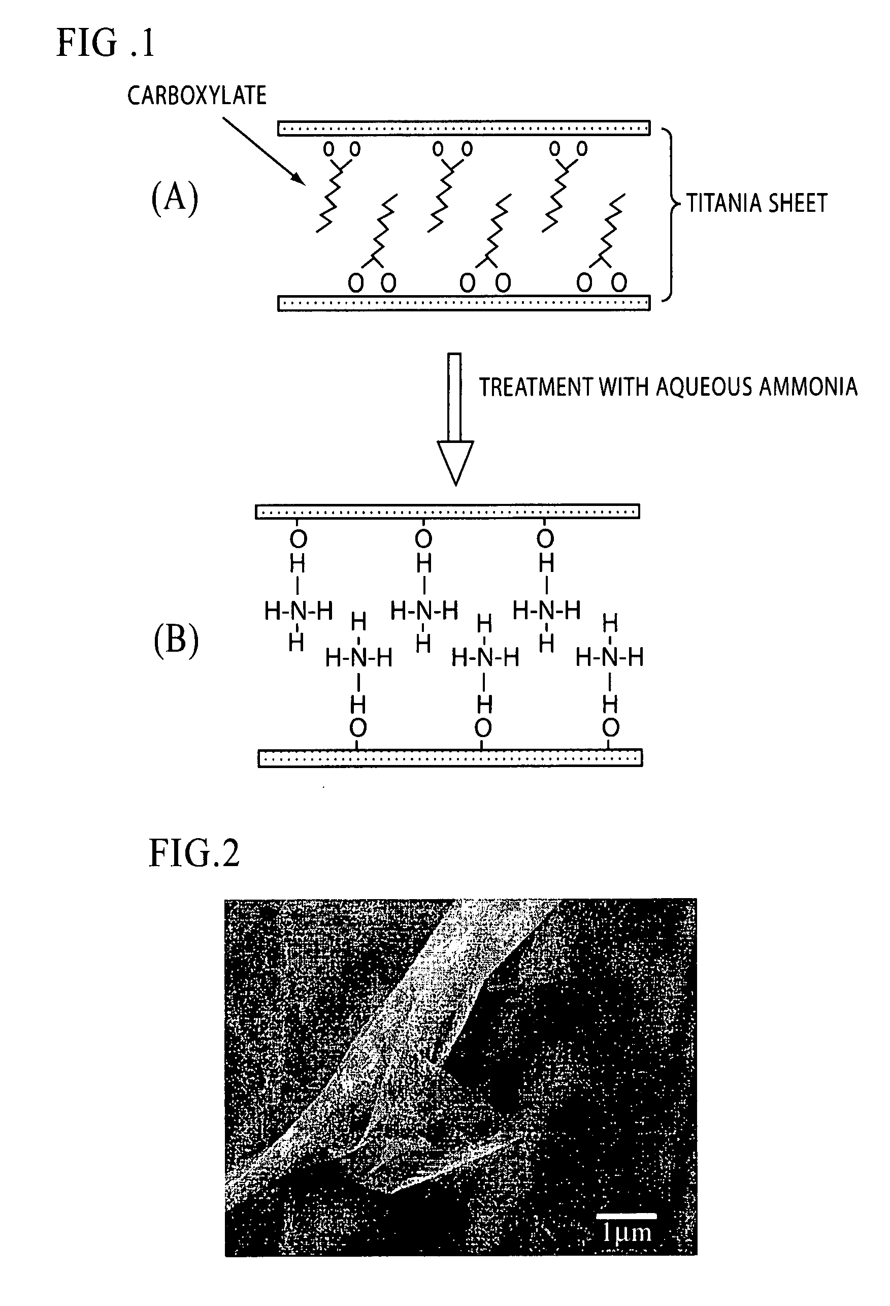 Process for Producing Flaky Titanium Oxide Capable of Absorbing Visible Light