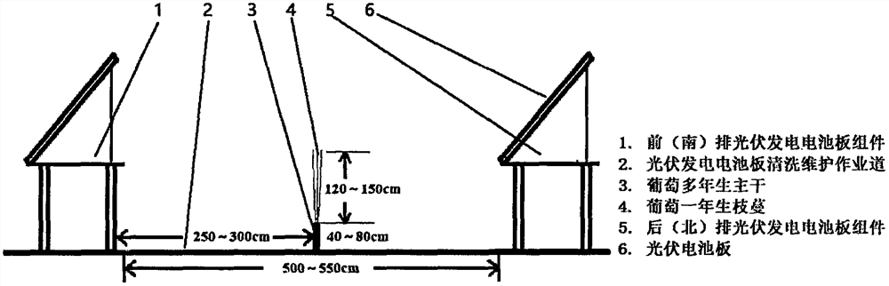 Integrated operation mode and method for grape planting and photovoltaic power generation industry in soil-burying cold-proof area