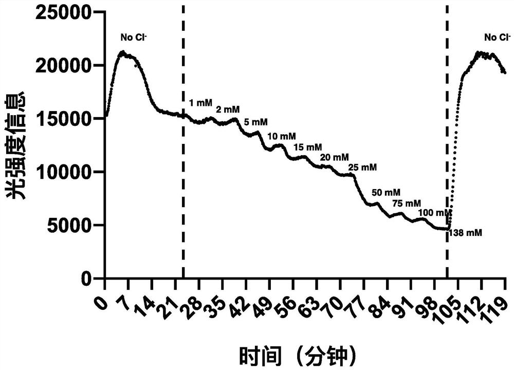 Method and system for detecting concentration of predetermined ions in cells