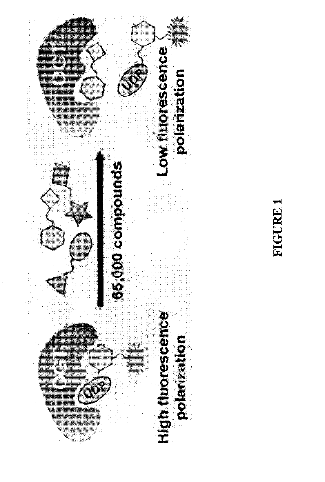 Diphosphate mimetics and uses thereof