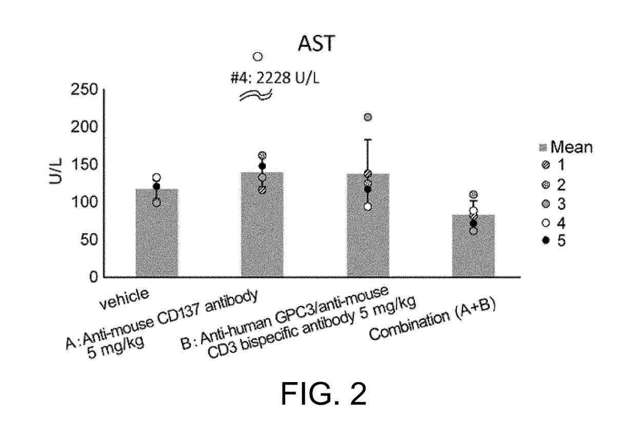 Combined use of immune activators