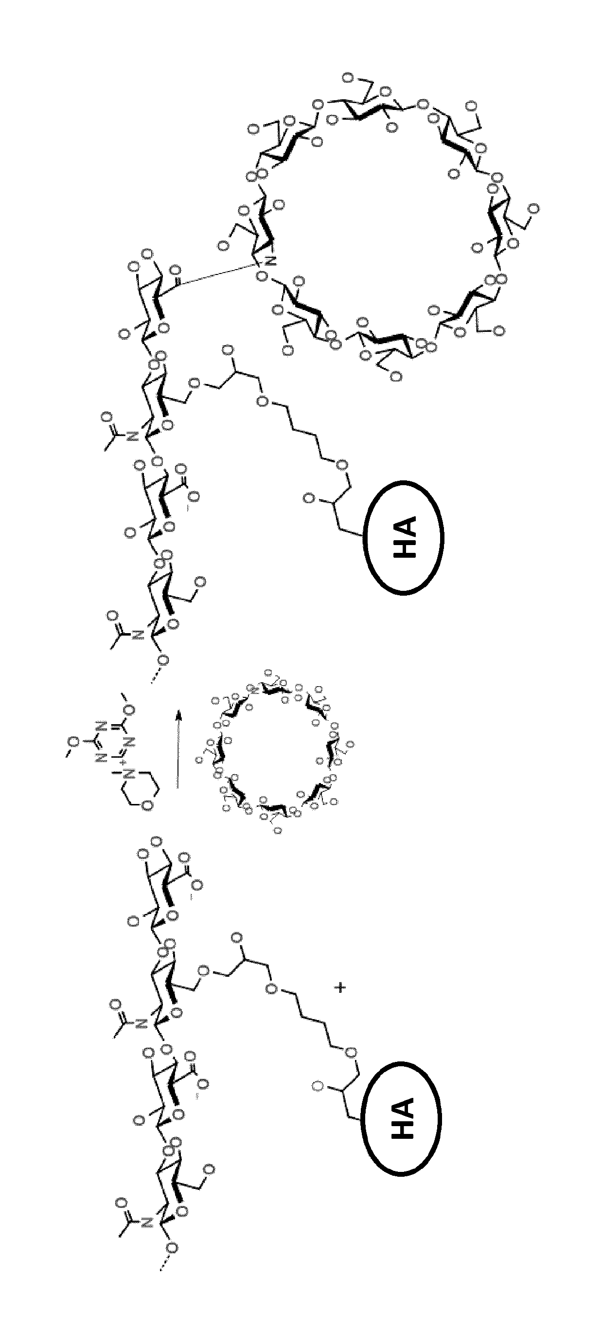 Grafting of cyclodextrin by amide bonds to an ether cross-linked hyaluronic acid and uses thereof
