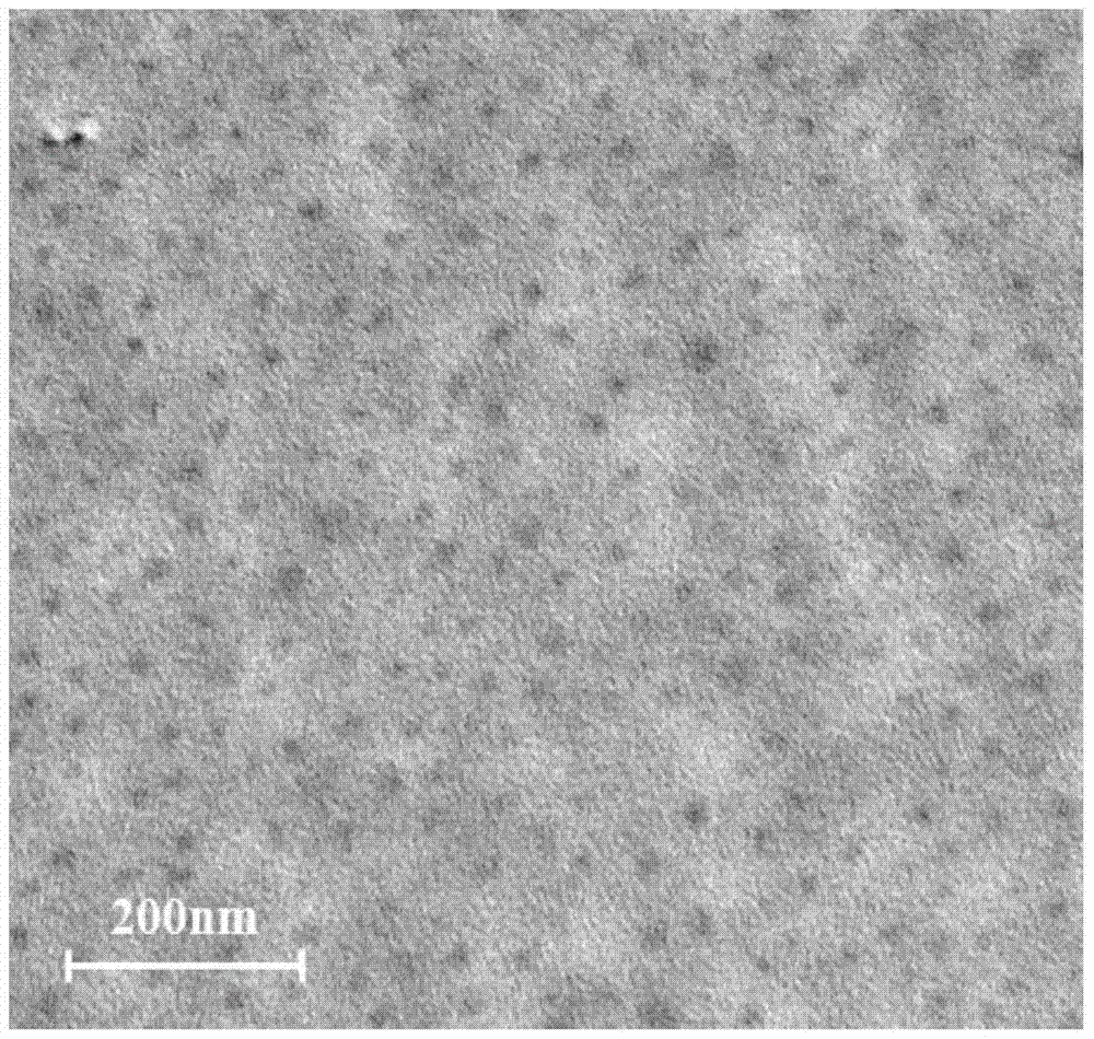 A tumor cell-targeted nanogel, a preparation method thereof, and a tumor cell-targeted nanogel drug-loaded particle