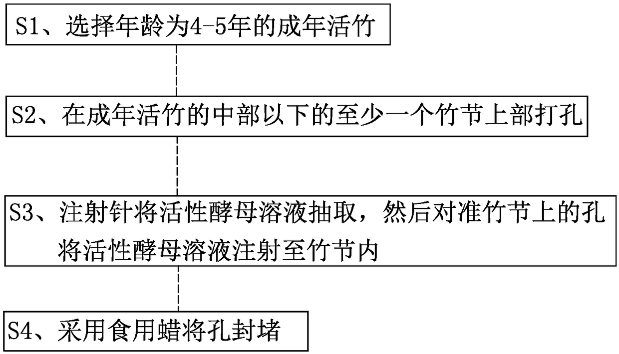 Plugging structure of live bamboo injection hole