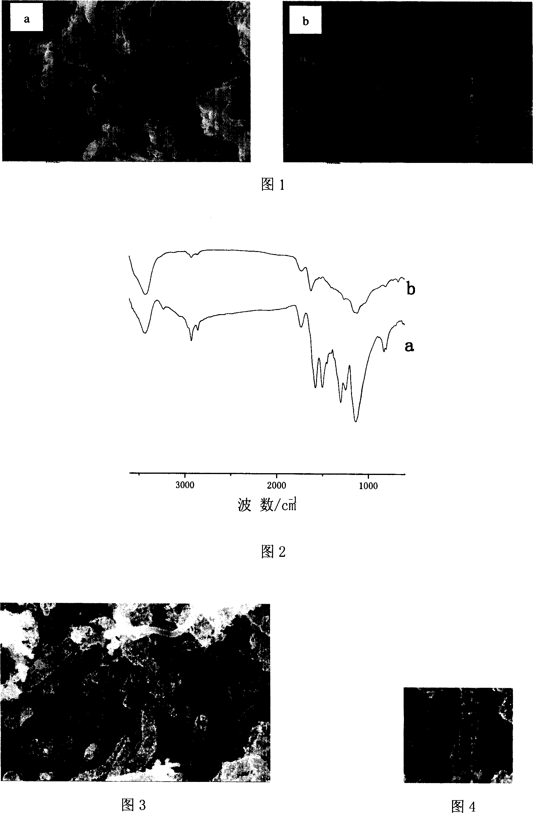 Method for preparing anode catalyst of direct methanol fuel cell