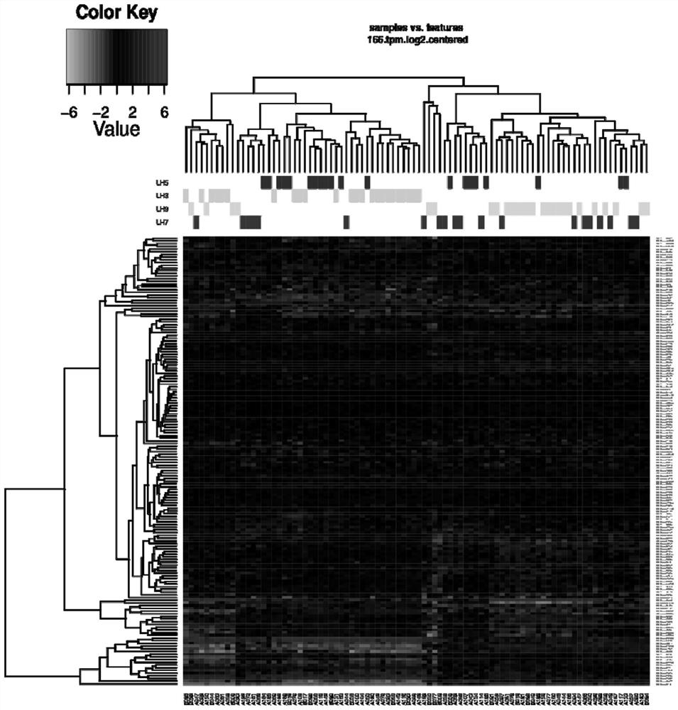 Gene marker panels and their applications for the assessment of endometrial receptivity