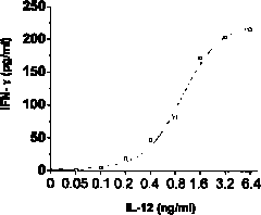 Method for detecting activity of recombinant human interleukin 12 (rhIL-12) protein