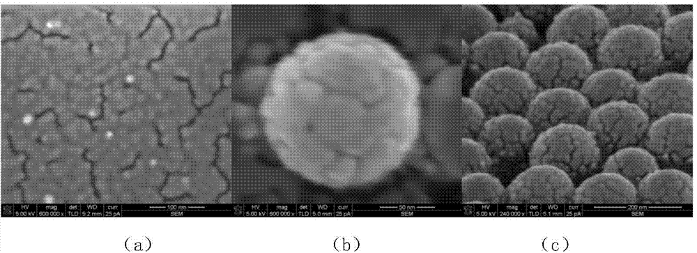 SERS (Surface Enhanced Raman Scattering) substrate with self-assembled spherical array and preparation method thereof