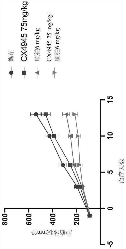 Combinations for immune-modulation in cancer treatment