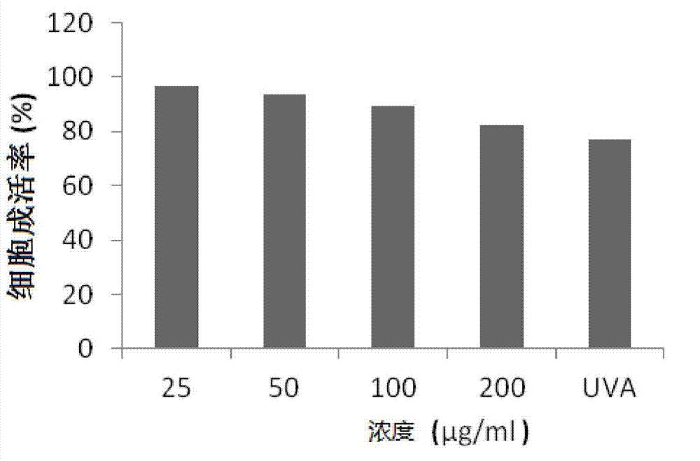 Application of white peony root extract in preparation of health food or cosmetic with anti-radiation and anti-aging effects