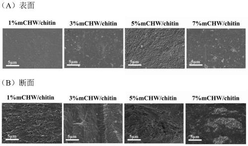High-strength chitin composite hydrogel material as well as preparation method and application thereof