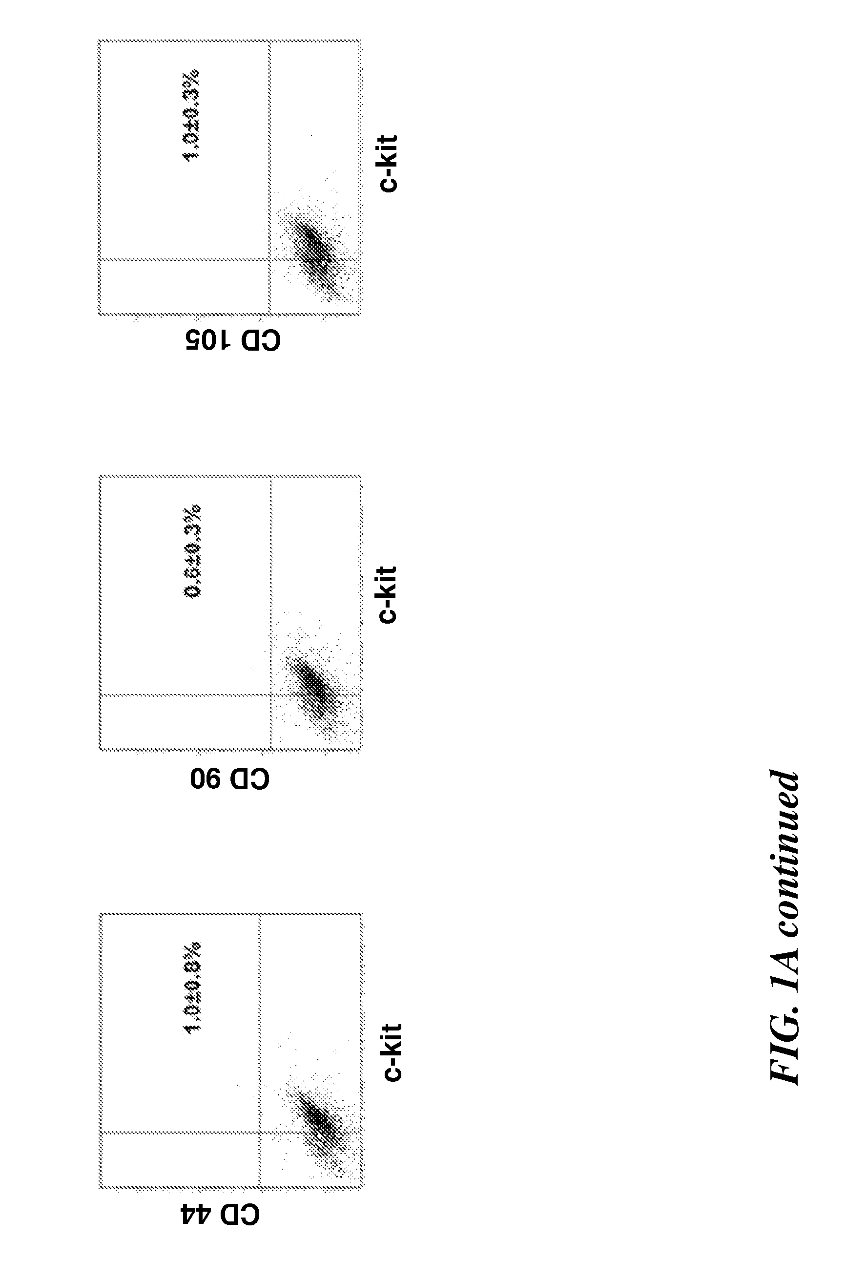 Human lung stem cells and uses thereof