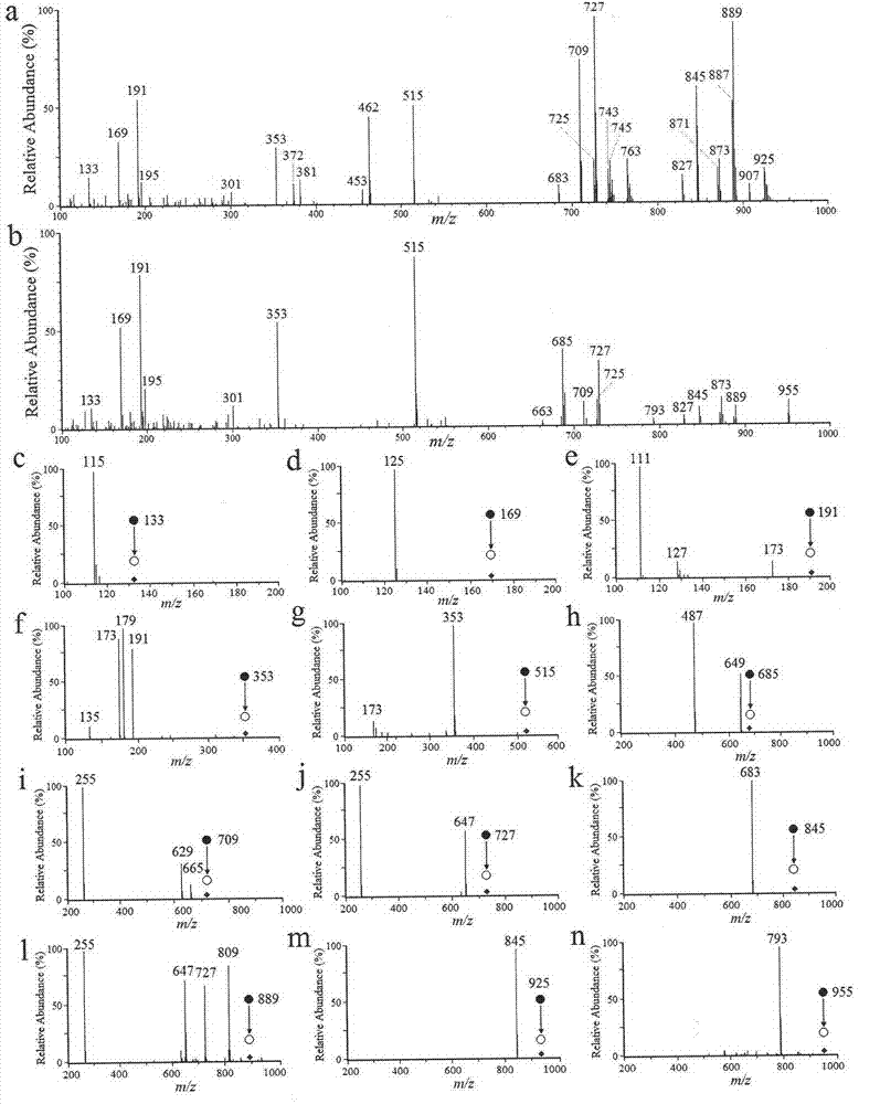 Paper-based electrospray ionization mass spectrometry fingerprint technology and construction method thereof