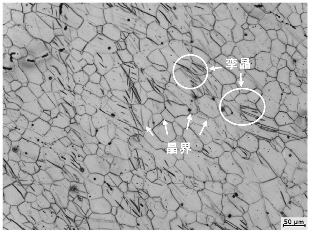 A method for observing the metallographic structure of pure magnesium