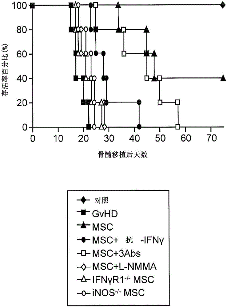 Methods modulating immunoregulatory effect of stem cells