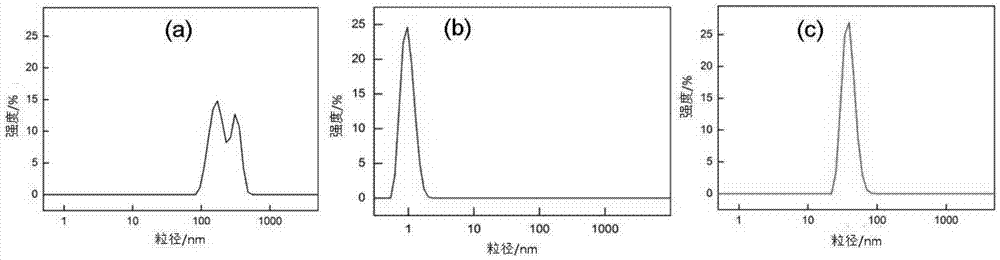 Magnetic nanoparticle, and preparation method and application thereof