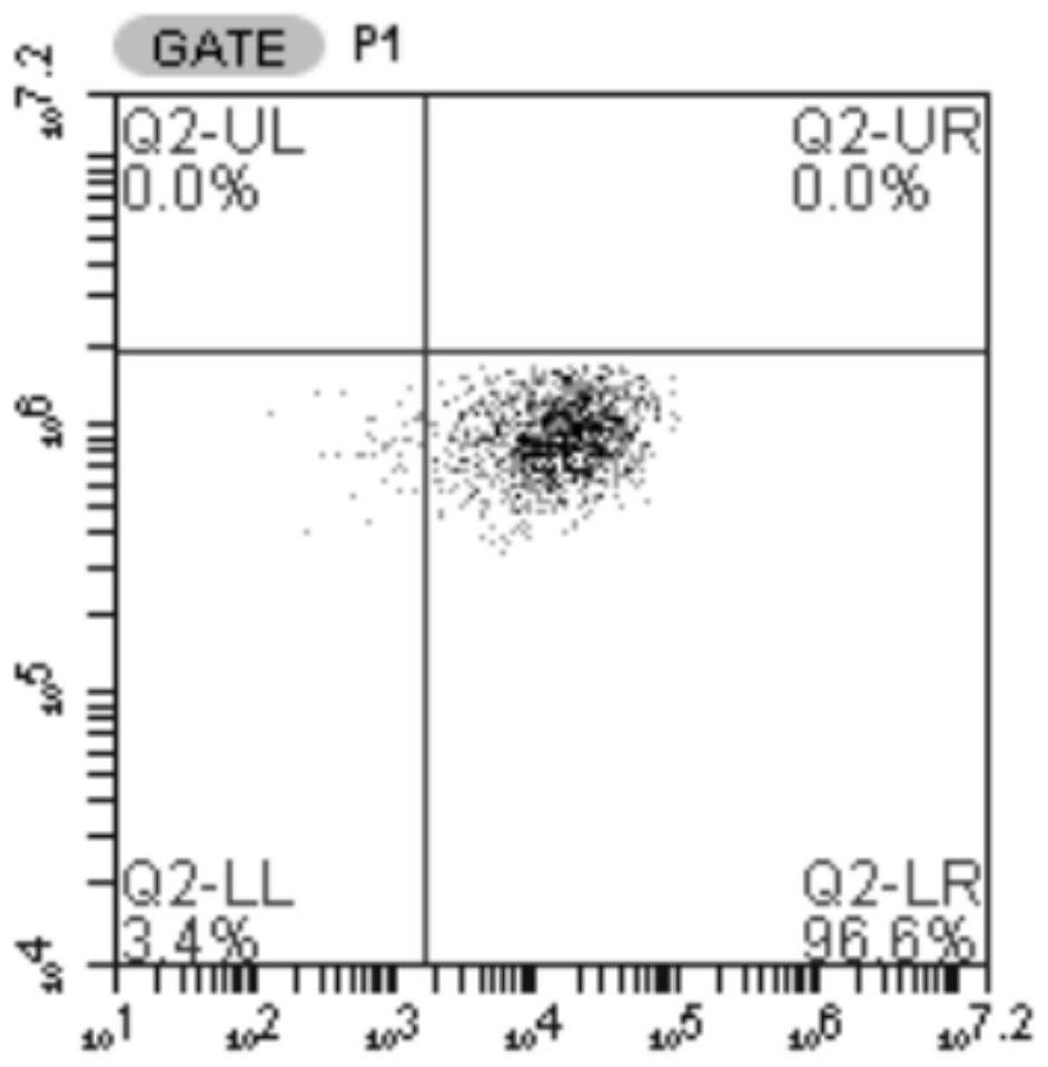 Specific T cell receptor aiming at EGFR L858R gene mutation and application thereof