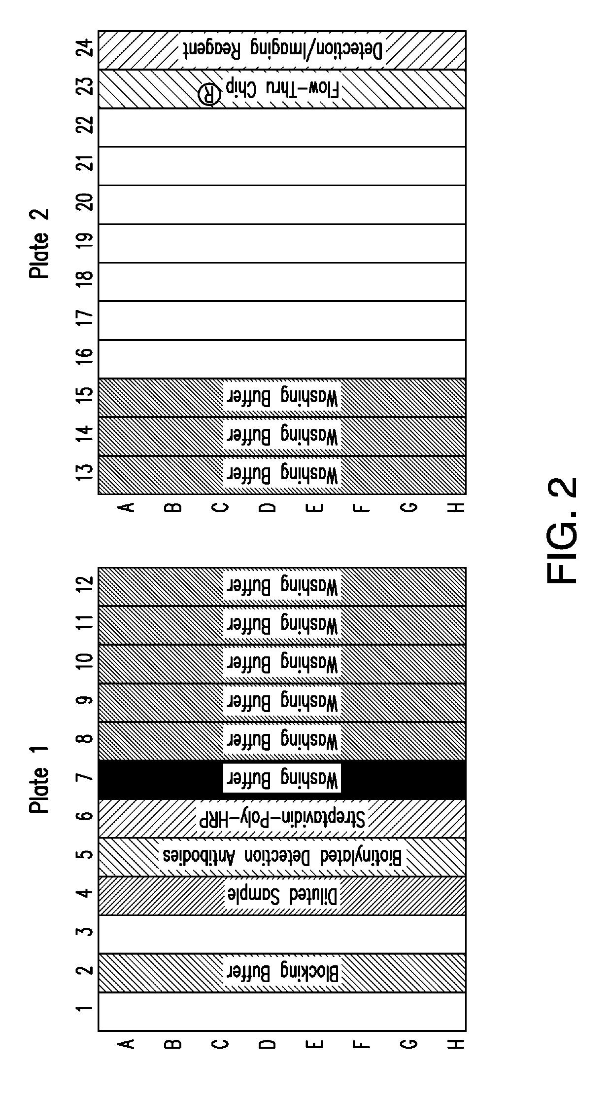 Compositions and methods for identifying subjects at risk for traumatic brain injury