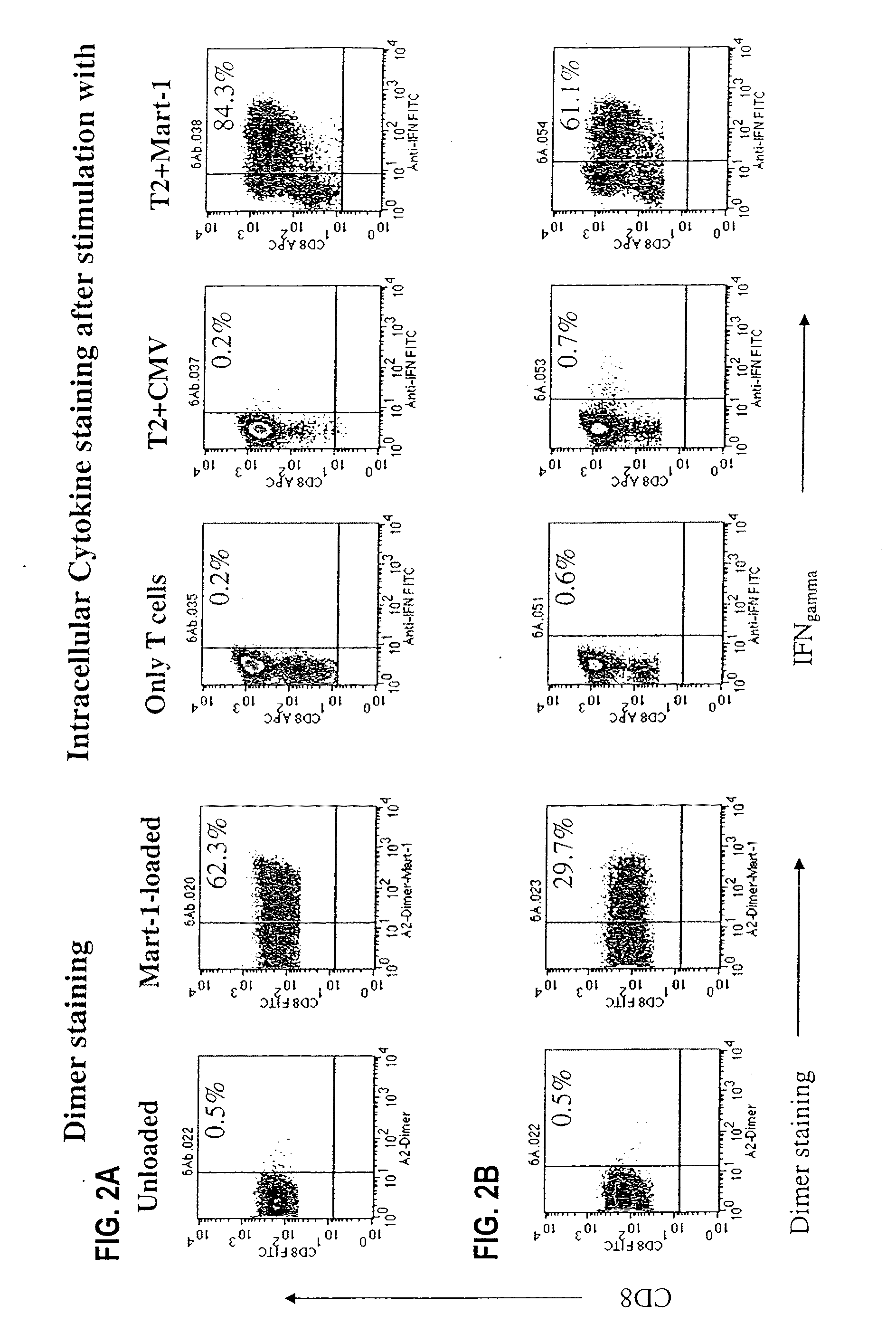 Reagents and Methods for Engaging Unique Clonotypic Lymphocyte Receptors