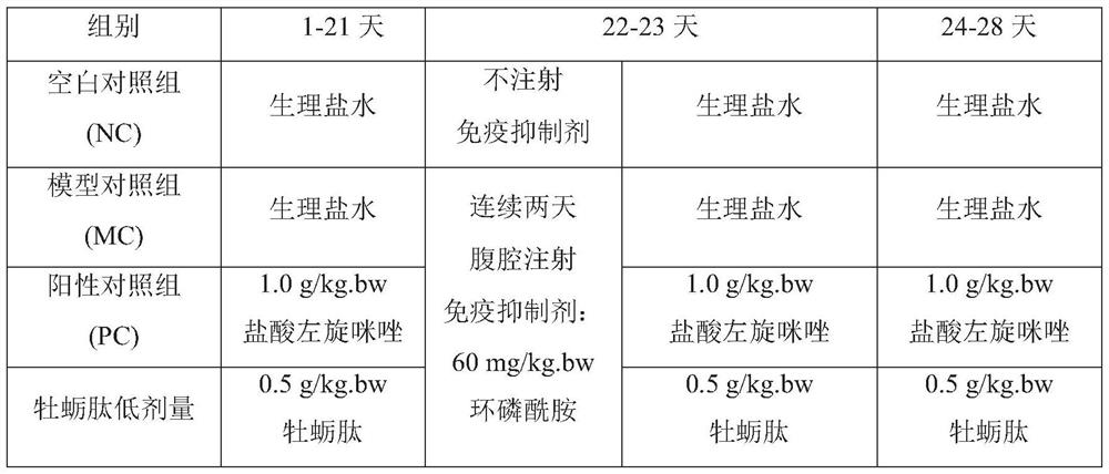 Oyster peptide and cordyceps mycelium composition with immunity enhancing function and application thereof