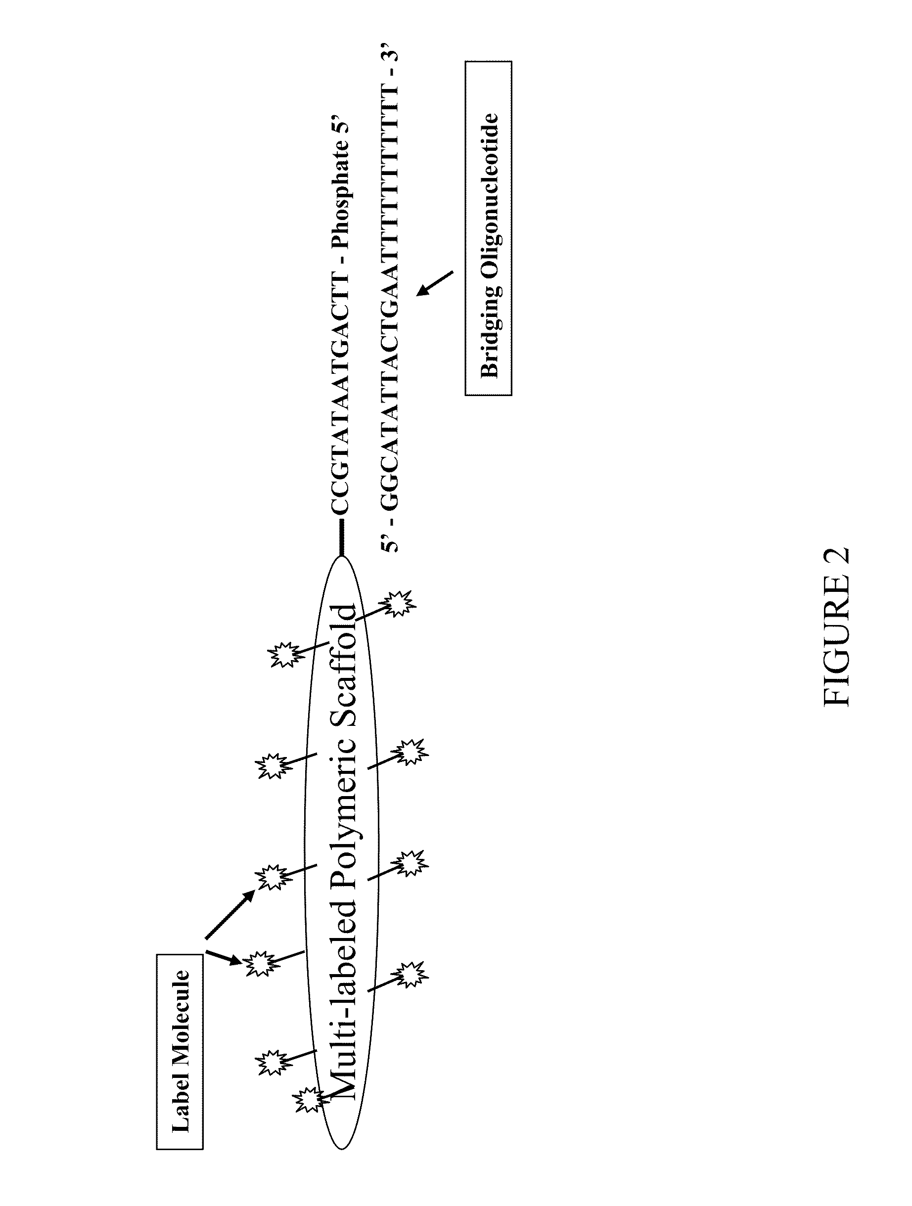Methods, Reagents and Kits for Detection of Nucleic Acid Molecules