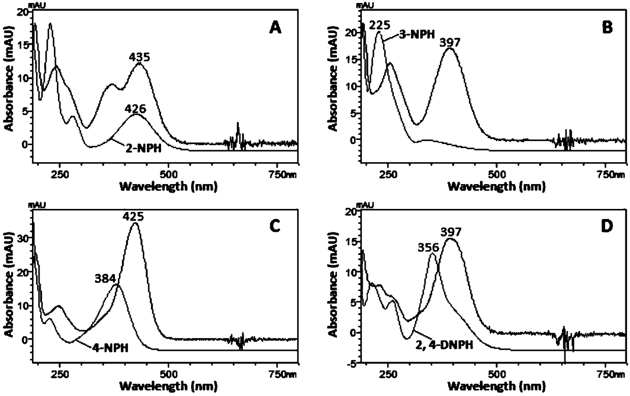 Method for determining 4-nitrobenzaldehyde in chloramphenicol or preparations thereof through derivatization HPLC-UV/Vis