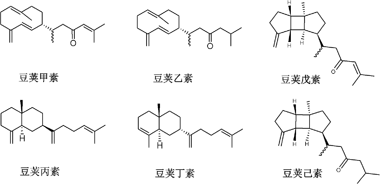 Diterpene compound Lobophytumin A, Lobophytumin B, Lobophytumin C, Lobophytumin D, Lobophytumin E and Lobophytumin F, and preparation method and application thereof to preparation of medicament