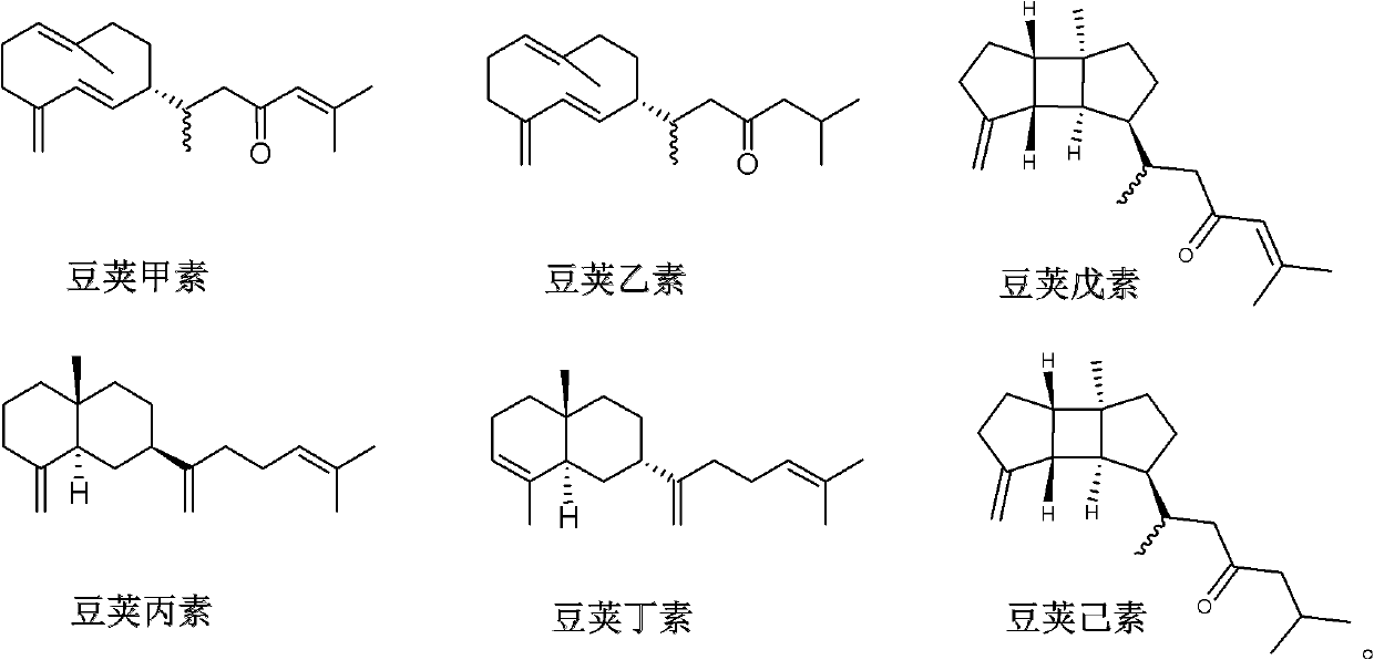 Diterpene compound Lobophytumin A, Lobophytumin B, Lobophytumin C, Lobophytumin D, Lobophytumin E and Lobophytumin F, and preparation method and application thereof to preparation of medicament