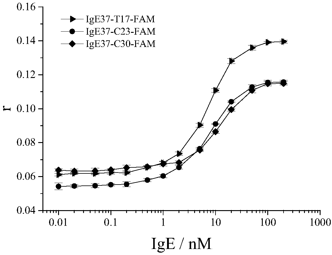 Fluorescent dye labeling aptamer for immune globulin E with sensitive fluorescence anisotropy response