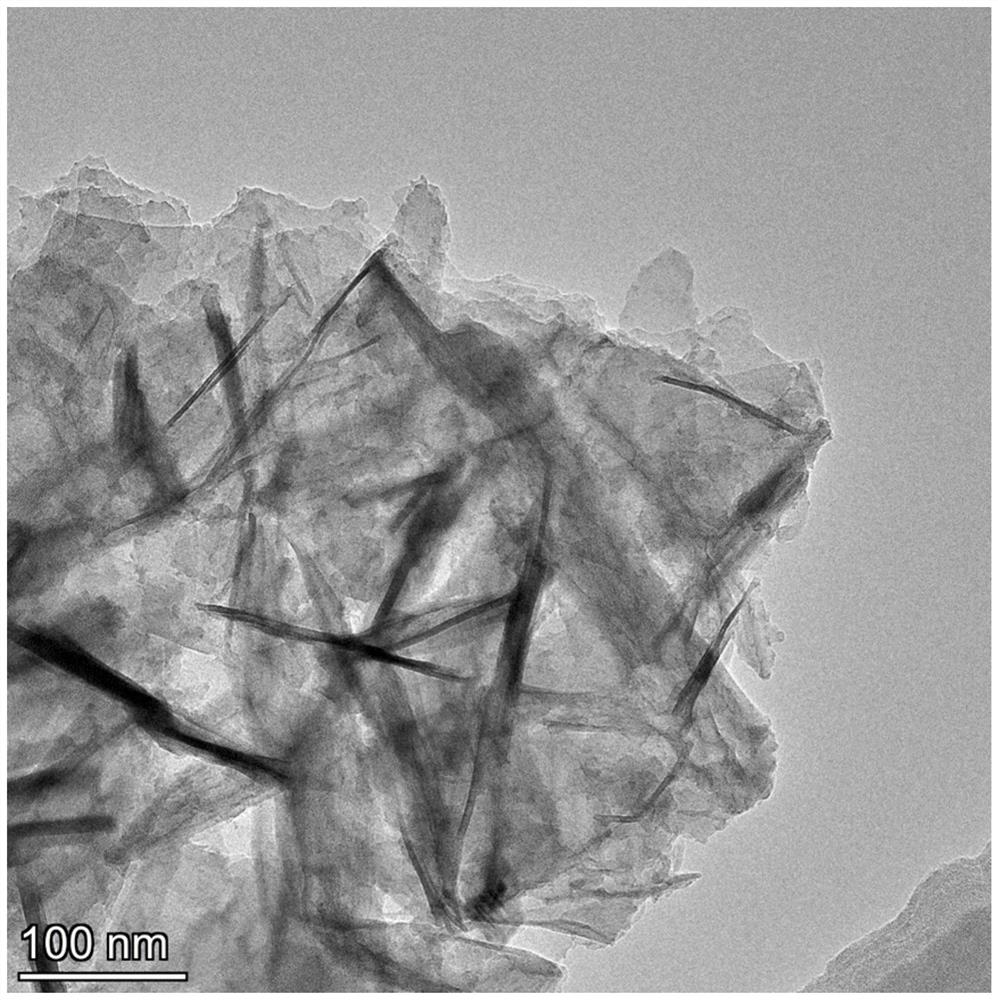 Preparation method of CoP-coated Co2P nanosheet catalyst for synthesizing amylamine from valeronitrile