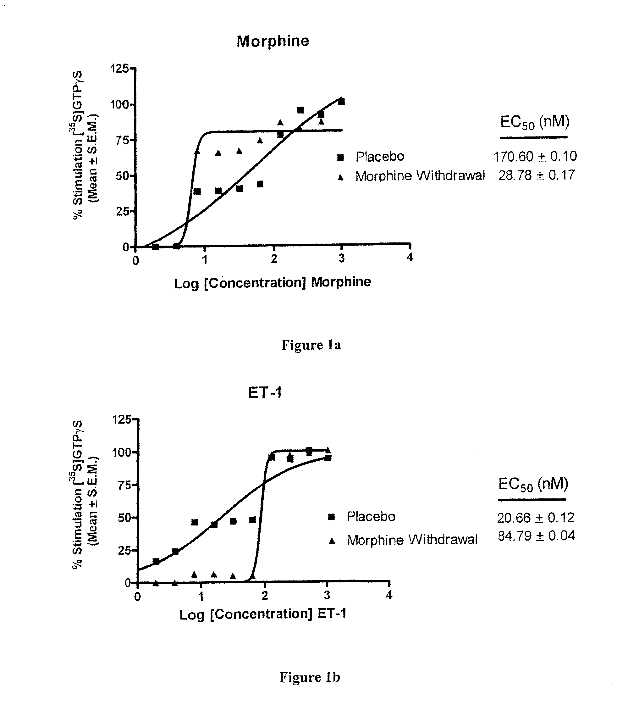 Endothelin Receptors in Morphine Withdrawal