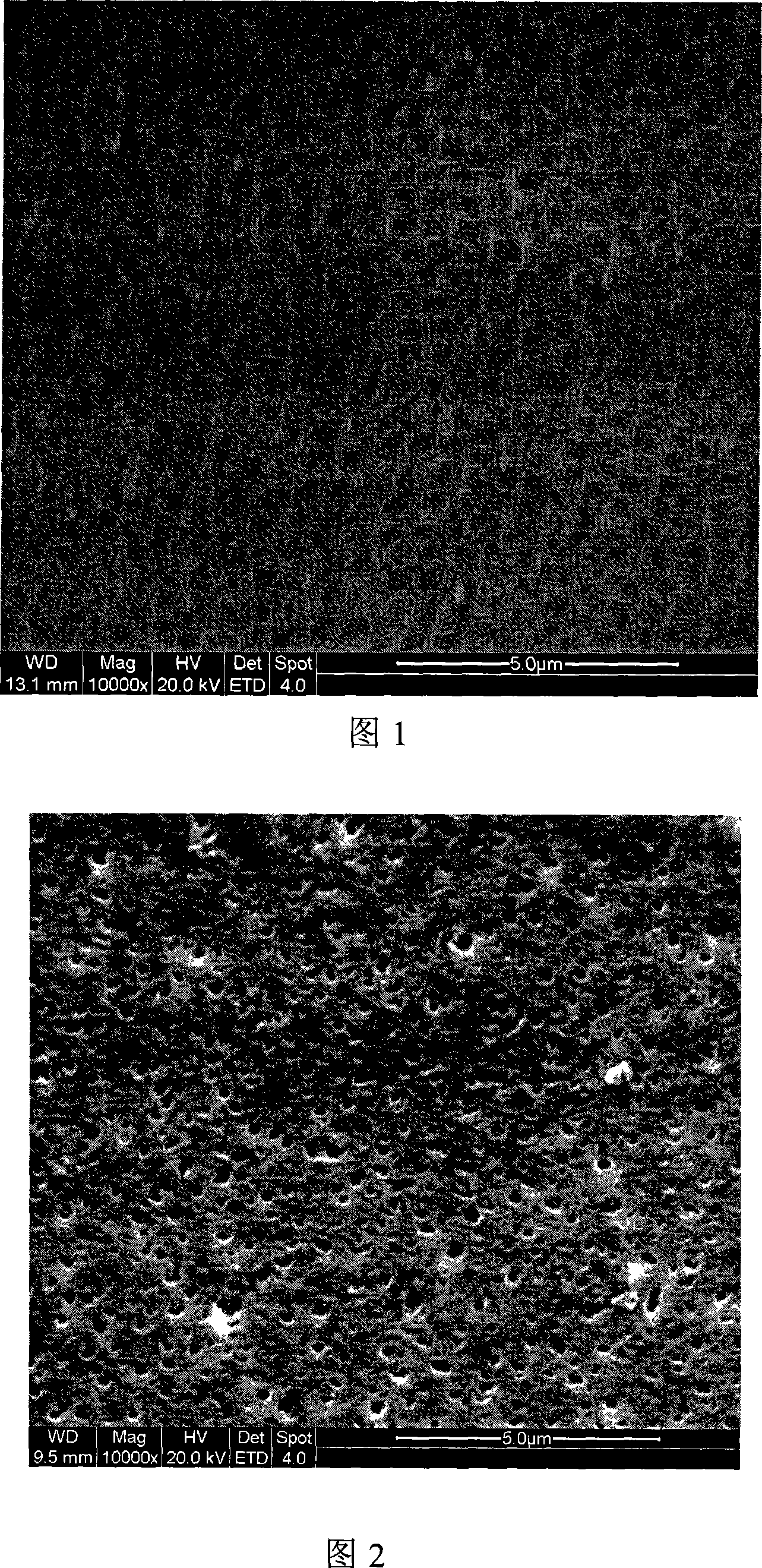 Unsymmetrical network shape pore structure hollow fiber film and preparation method thereof
