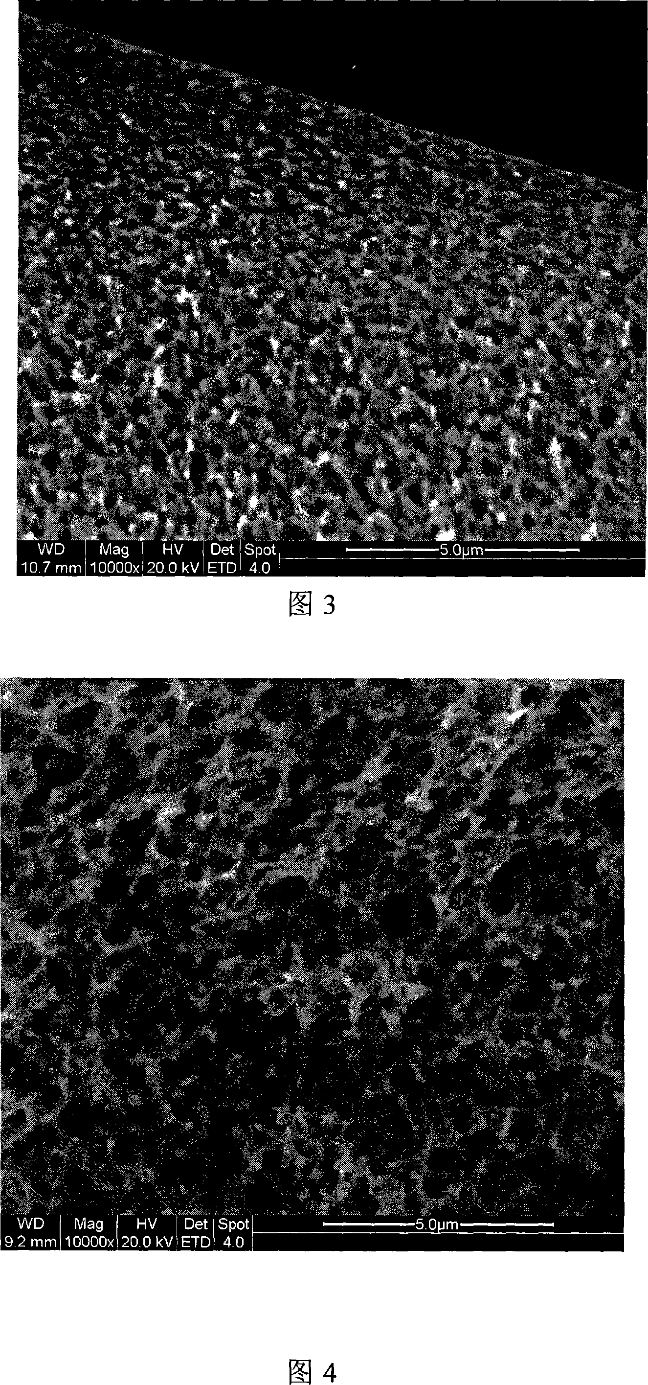 Unsymmetrical network shape pore structure hollow fiber film and preparation method thereof