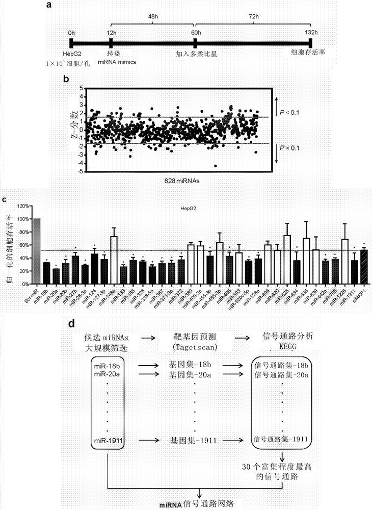 Application of miRNA‑27b in antitumor drug resistance