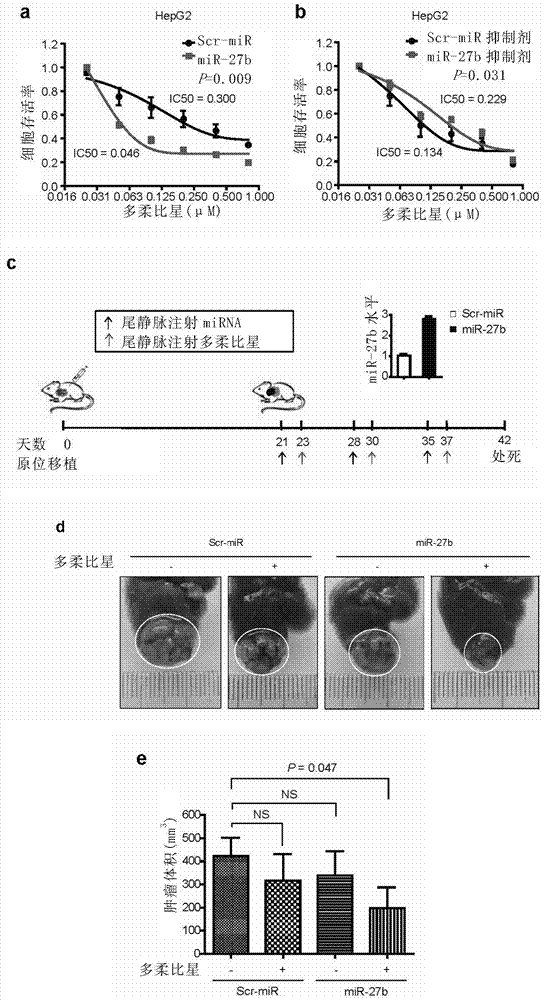 Application of miRNA‑27b in antitumor drug resistance