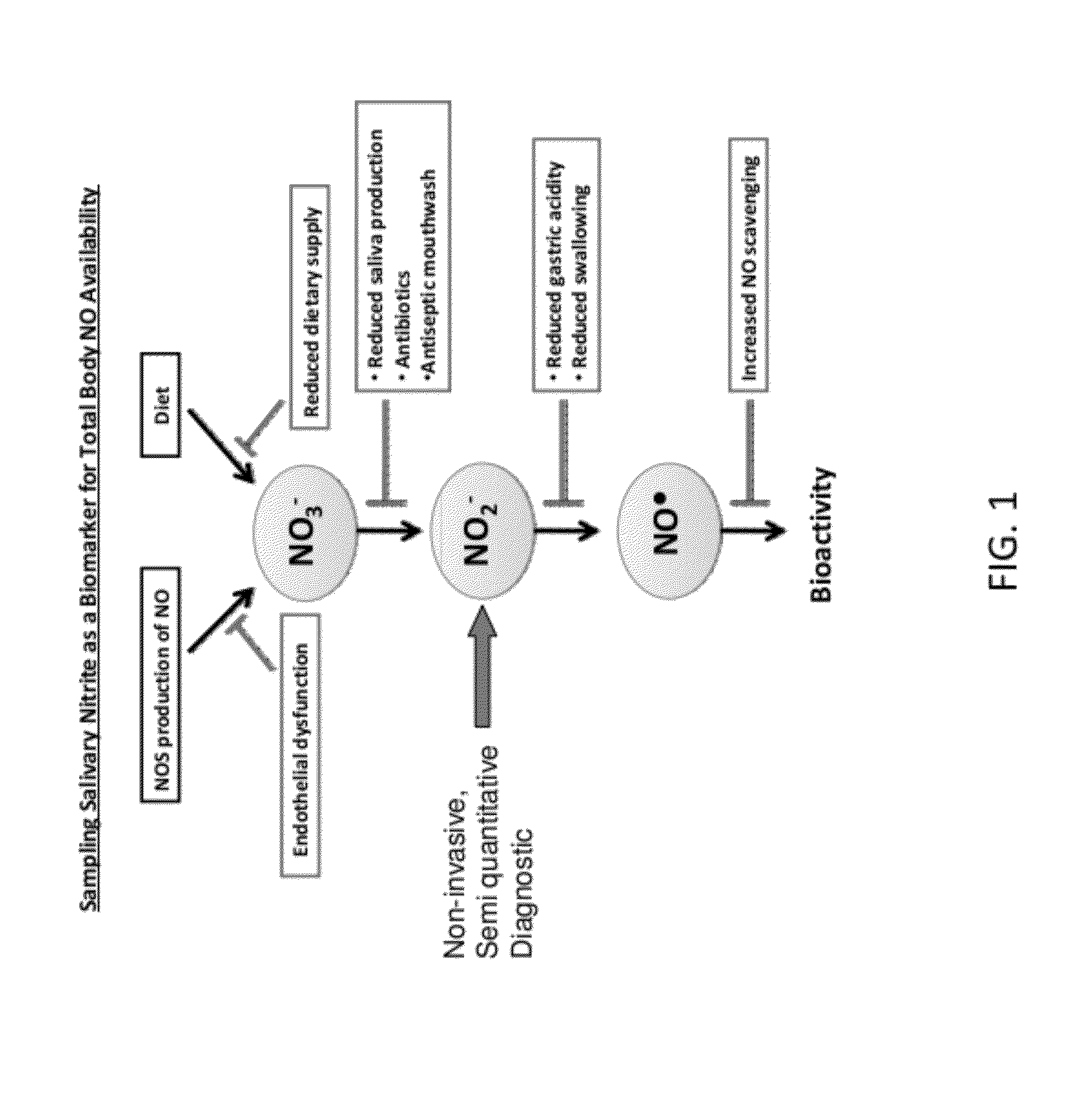 Method of Measuring and Monitoring In Vivo Nitrite Levels