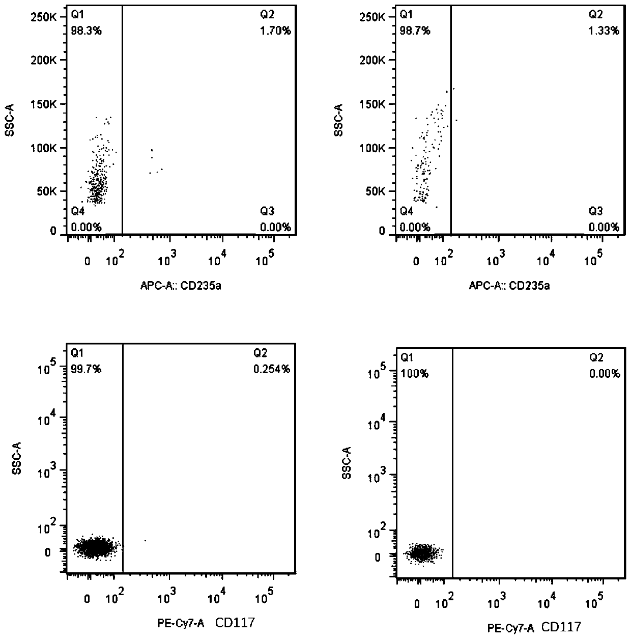 Method and preparation for preparing mature erythrocytes from peripheral blood in vitro