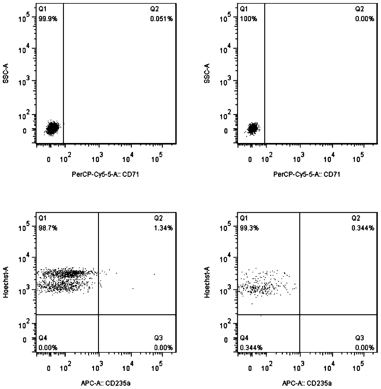 Method and preparation for preparing mature erythrocytes from peripheral blood in vitro
