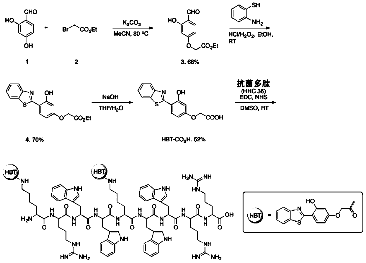 A kind of aggregation-induced luminescent antibacterial polypeptide probe and its preparation and application