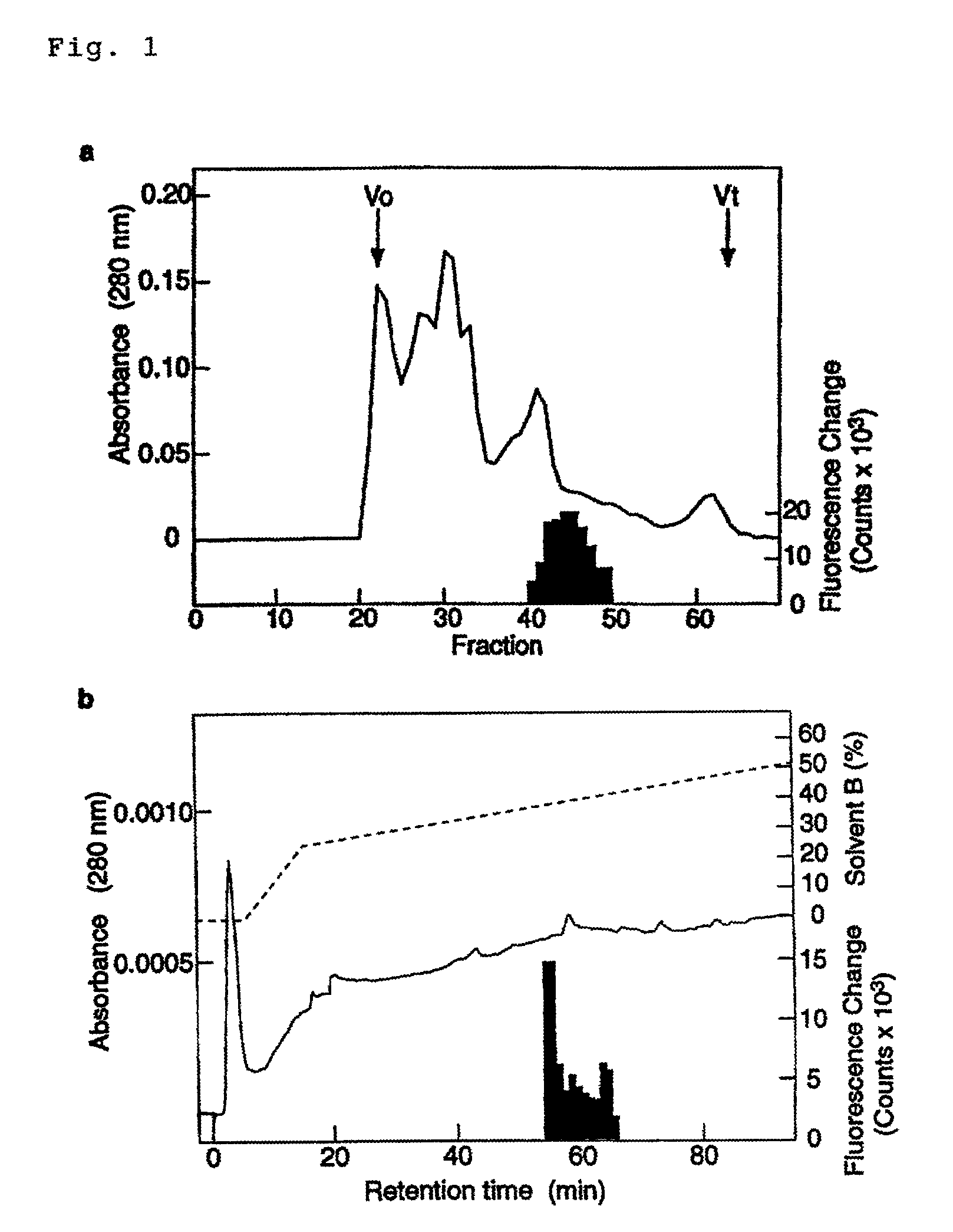 Modified ghrelin polypeptides