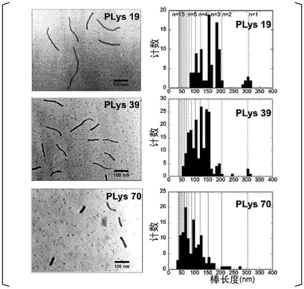 Nucleic acid-encapsulating polymer micelle complex and method for producing same